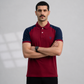 Ombré Polo Shirt